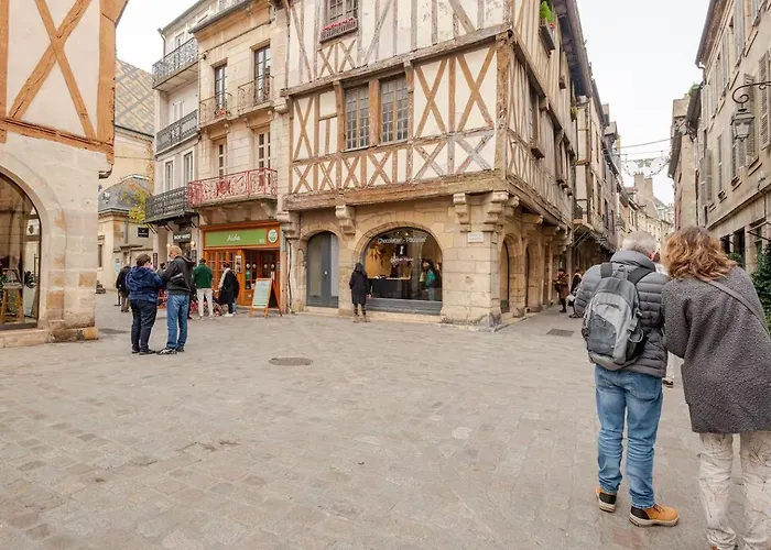 Apartment Owl Prestige Dijon